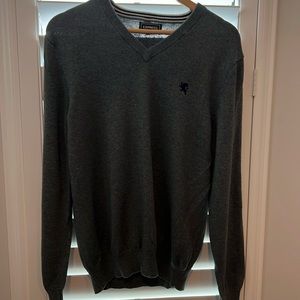 Express V neck sweater